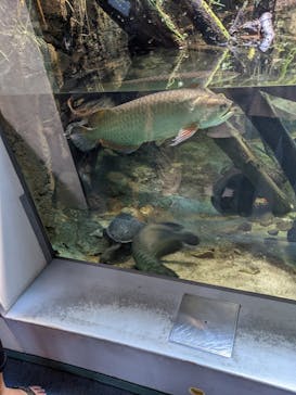 名古屋港水族館に投稿された画像（2022/8/10）