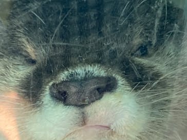 新江ノ島水族館に投稿された画像（2022/8/10）