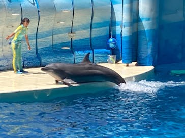 新江ノ島水族館に投稿された画像（2022/8/10）