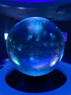 新江ノ島水族館に投稿された画像（2022/8/10）