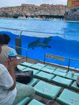 名古屋港水族館に投稿された画像（2022/8/10）