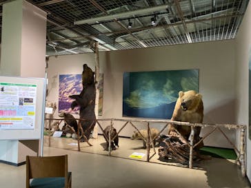 のぼりべつクマ牧場に投稿された画像（2022/8/10）