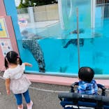 登別マリンパークニクスに投稿された画像（2022/8/10）