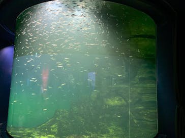 滋賀県立琵琶湖博物館に投稿された画像（2022/8/10）