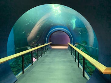 滋賀県立琵琶湖博物館に投稿された画像（2022/8/10）