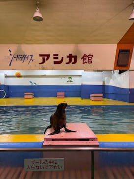 ゼロ距離水族館 伊勢シーパラダイスに投稿された画像（2022/8/10）