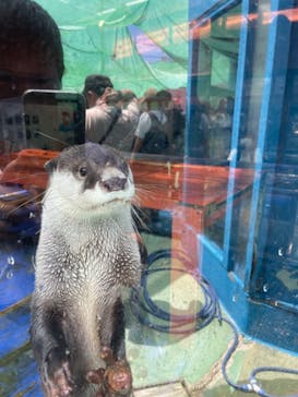 ゼロ距離水族館 伊勢シーパラダイスに投稿された画像（2022/8/10）