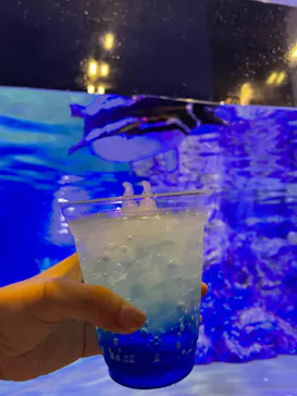 すみだ水族館に投稿された画像（2022/8/10）