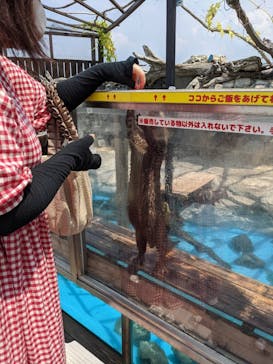 大分マリーンパレス水族館 「うみたまご」に投稿された画像（2022/8/10）
