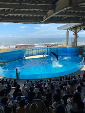 新江ノ島水族館に投稿された画像（2022/8/10）