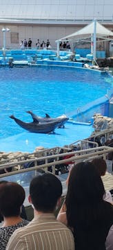 名古屋港水族館に投稿された画像（2022/8/10）