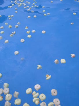 日本モンキーパークに投稿された画像（2022/8/10）