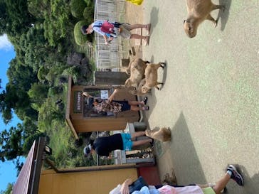 伊豆シャボテン動物公園に投稿された画像（2022/8/10）