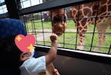 那須サファリパークに投稿された画像（2022/8/8）