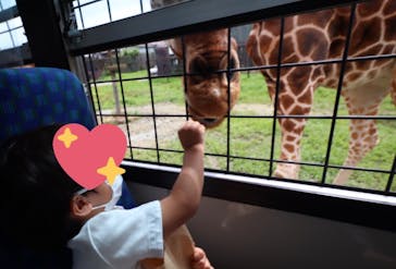 那須サファリパークに投稿された画像（2022/8/8）