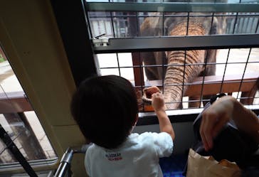 那須サファリパークに投稿された画像（2022/8/8）