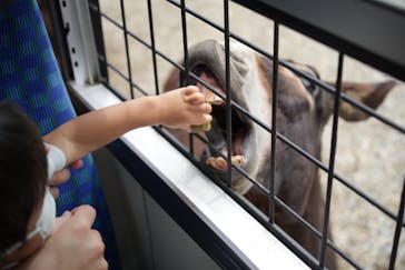 那須サファリパークに投稿された画像（2022/8/8）