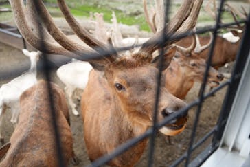 那須サファリパークに投稿された画像（2022/8/8）
