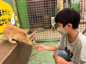 那須サファリパークに投稿された画像（2022/8/10）