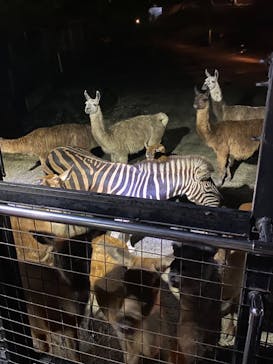 那須サファリパークに投稿された画像（2022/8/10）