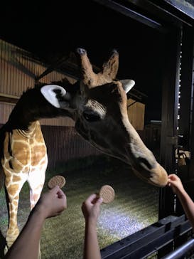 那須サファリパークに投稿された画像（2022/8/10）