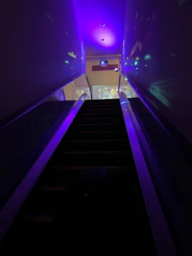 仙台うみの杜水族館に投稿された画像（2022/8/10）