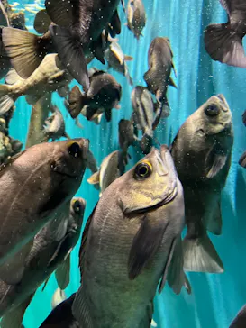 仙台うみの杜水族館に投稿された画像（2022/8/10）