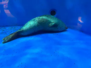 仙台うみの杜水族館に投稿された画像（2022/8/10）