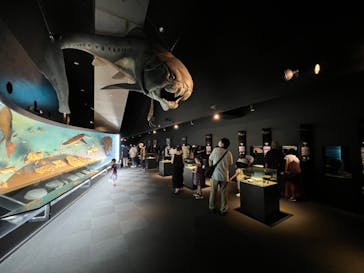 環境水族館アクアマリンふくしまに投稿された画像（2022/8/10）