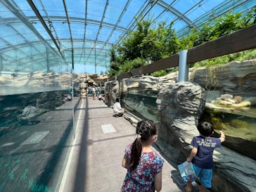 環境水族館アクアマリンふくしまに投稿された画像（2022/8/10）