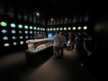 環境水族館アクアマリンふくしまに投稿された画像（2022/8/10）