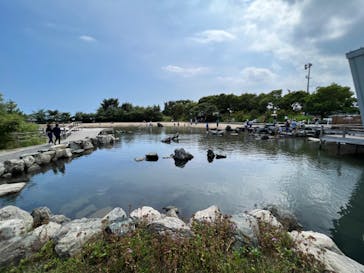 環境水族館アクアマリンふくしまに投稿された画像（2022/8/10）