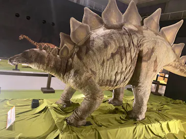 ひらかたパークに投稿された画像（2022/8/10）