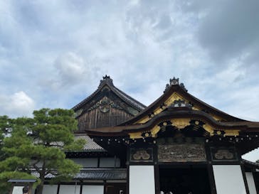 元離宮二条城に投稿された画像（2022/8/10）