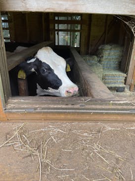 まかいの牧場に投稿された画像（2022/8/10）