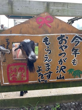 まかいの牧場に投稿された画像（2022/8/10）