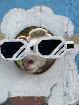 まかいの牧場に投稿された画像（2022/8/10）