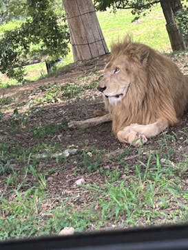 姫路セントラルパークに投稿された画像（2022/8/10）