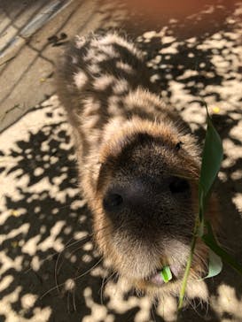 長崎バイオパークに投稿された画像（2022/8/10）