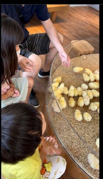 Moff animal cafe 小田原ダイナシティ店に投稿された画像（2022/8/10）