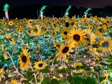 せんだい農業園芸センター　みどりの杜に投稿された画像（2022/8/10）