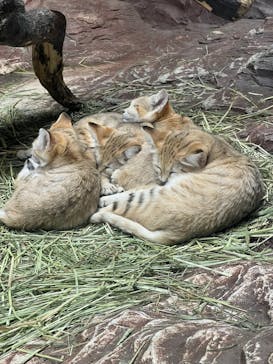 那須どうぶつ王国に投稿された画像（2022/8/10）