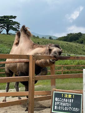 那須どうぶつ王国に投稿された画像（2022/8/10）