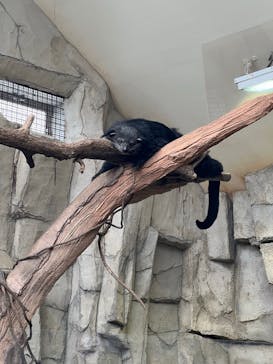 那須どうぶつ王国に投稿された画像（2022/8/10）