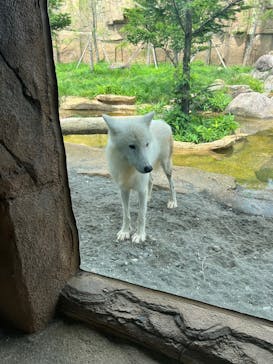 那須どうぶつ王国に投稿された画像（2022/8/10）