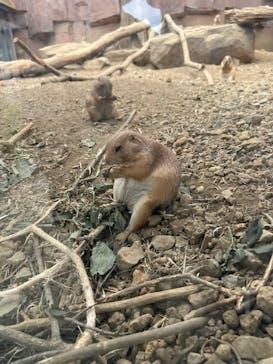 那須どうぶつ王国に投稿された画像（2022/8/10）