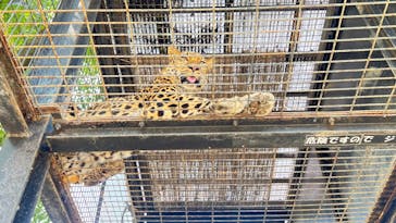 群馬サファリパークに投稿された画像（2022/8/10）