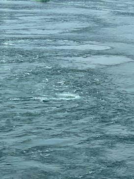 徳島県立 渦の道に投稿された画像（2022/8/10）