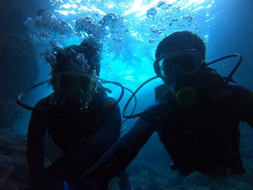 武藤潜水に投稿された画像（2022/8/10）