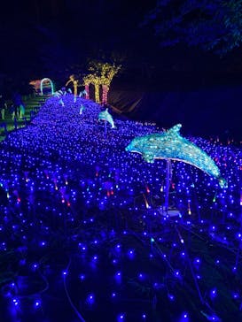 伊豆ぐらんぱる公園に投稿された画像（2022/8/11）